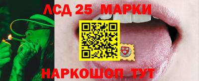 спайс Моздок