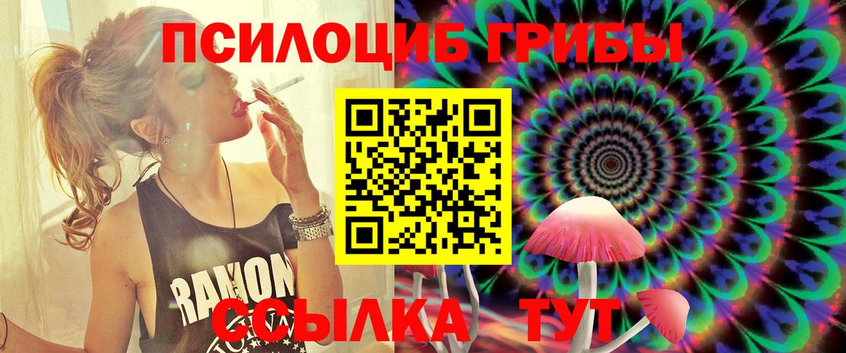 Галлюциногенные грибы ЛСД Владимир